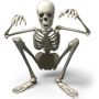 skeleton_png5535.png